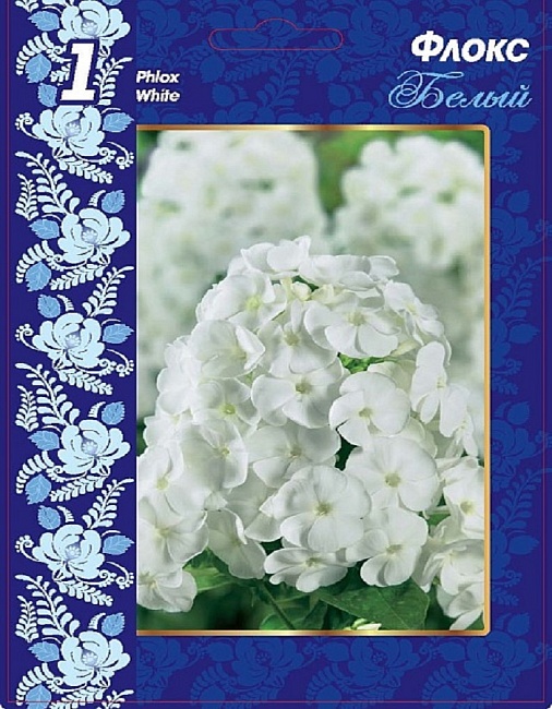 Флокс Белый